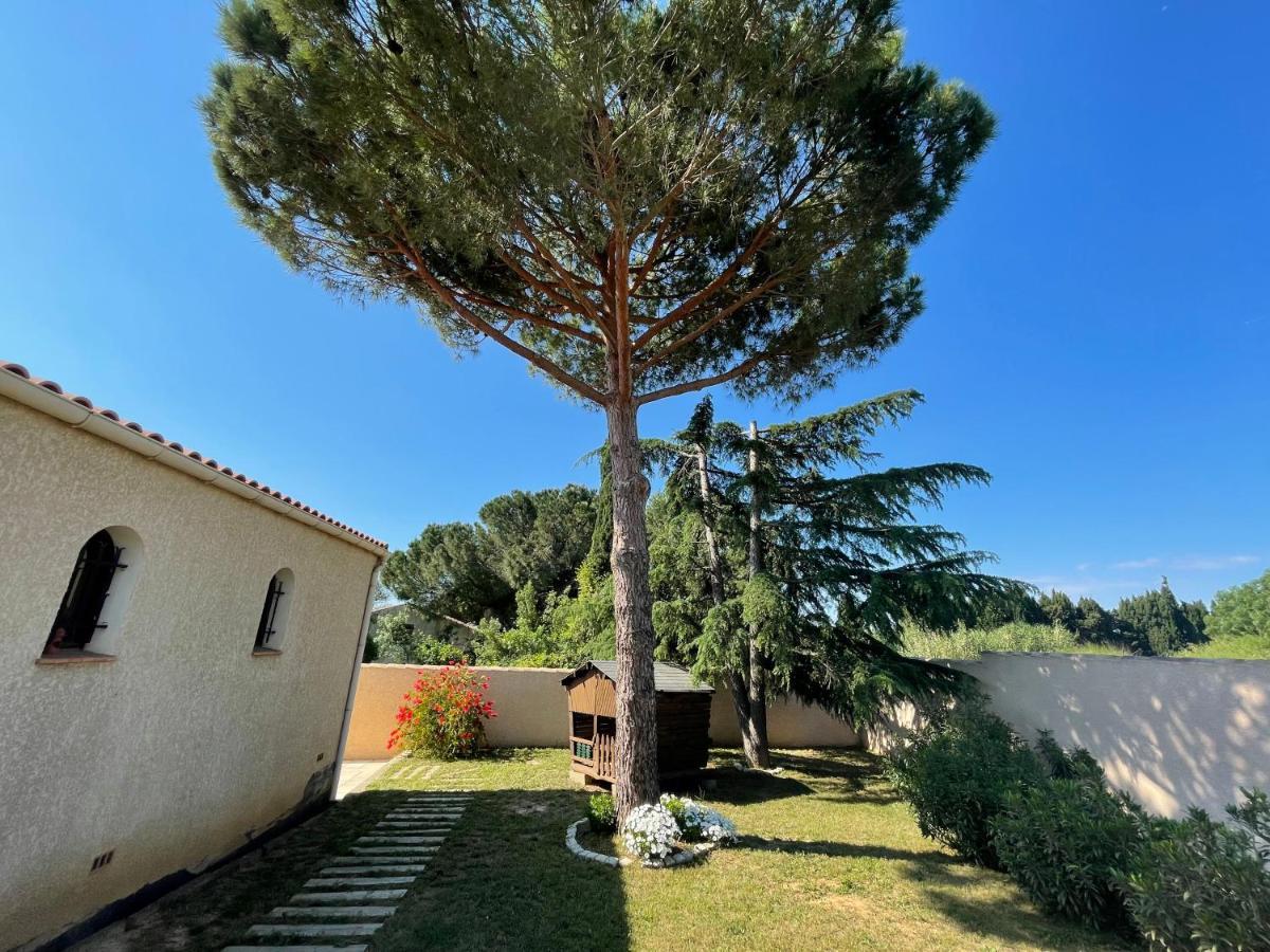 Annexe Des Pins - Studio Gite Avec Piscine & Climatisation Villeneuve-lès-Béziers 外观 照片